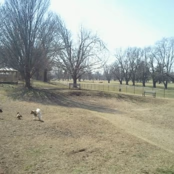 Champions Dog Run photo 2
